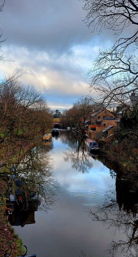 Leeds-Liverpool Canal, near Whittle le Woods, Lancashire by antmcg69