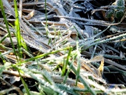 10th Jan 2024 - Crunchy underfoot!