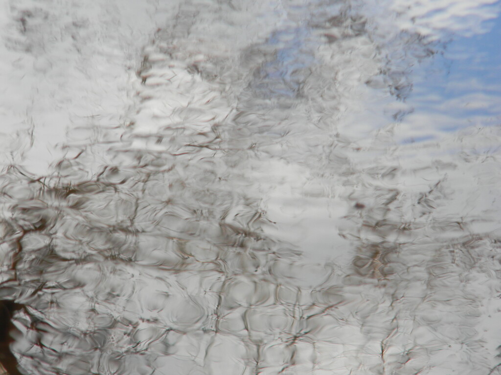 Water Reflection by sfeldphotos