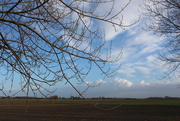 10th Jan 2024 - A (Dutch) view between the trees.