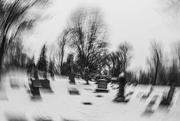 10th Jan 2024 - Cemetery Twirl