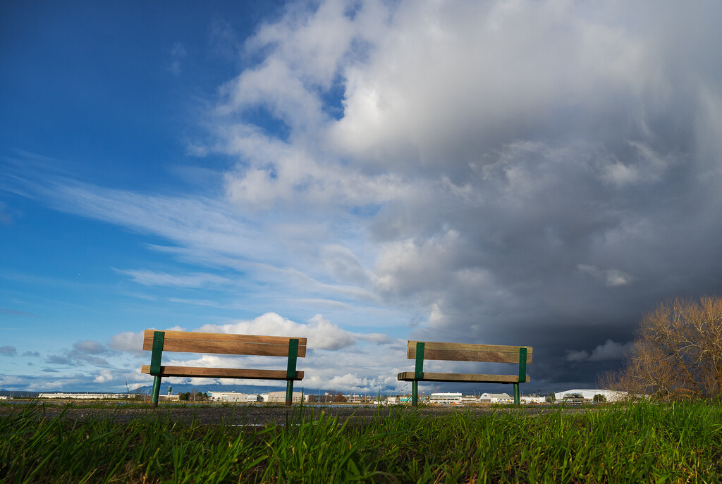 Pairs Project #14 - Two Benches… by cdcook48