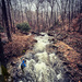 Appalachian Brook Fishing by pdulis