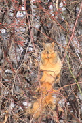 10th Jan 2024 - Snack time