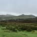 Dartmoor 2.. by moominmomma