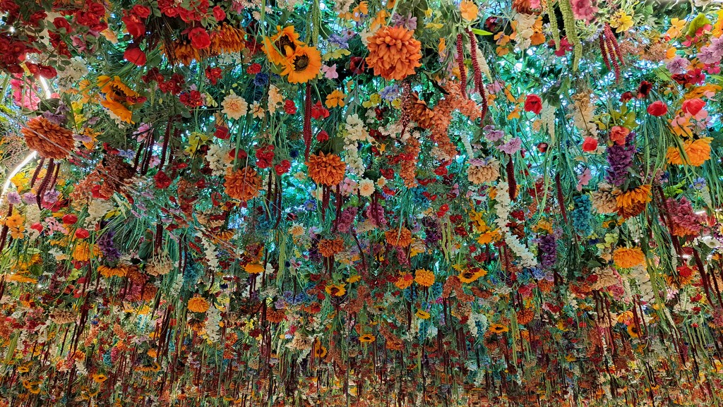 Monet in Perth  by judithdeacon