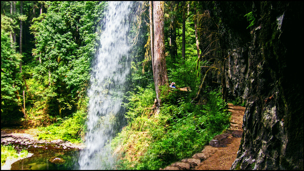 Walking the trail-Silver Falls State Park by 365projectorgchristine