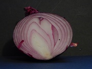10th Jan 2024 - Red Onion
