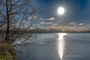 11th Jan 2024 - Winter sun at the lake