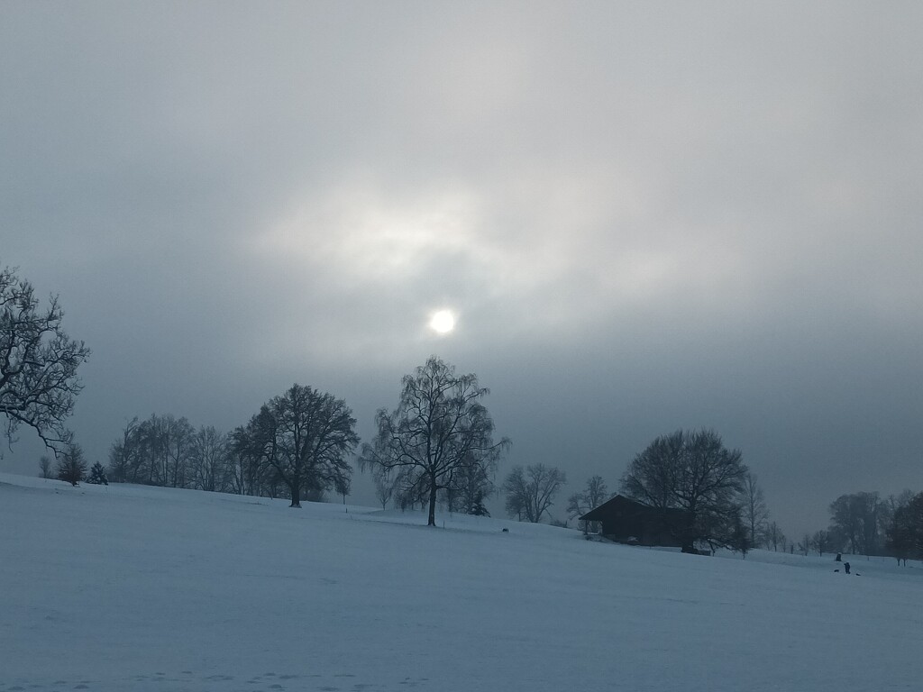 The sun hiding behind the fog.  by cordulaamann