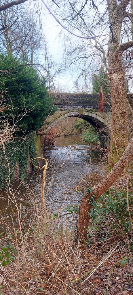 River Bollin, Wilmslow  by antmcg69