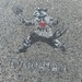 Raccoon Art by blackmutts