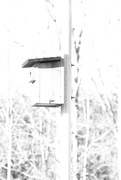 11th Jan 2024 - Birdhouse