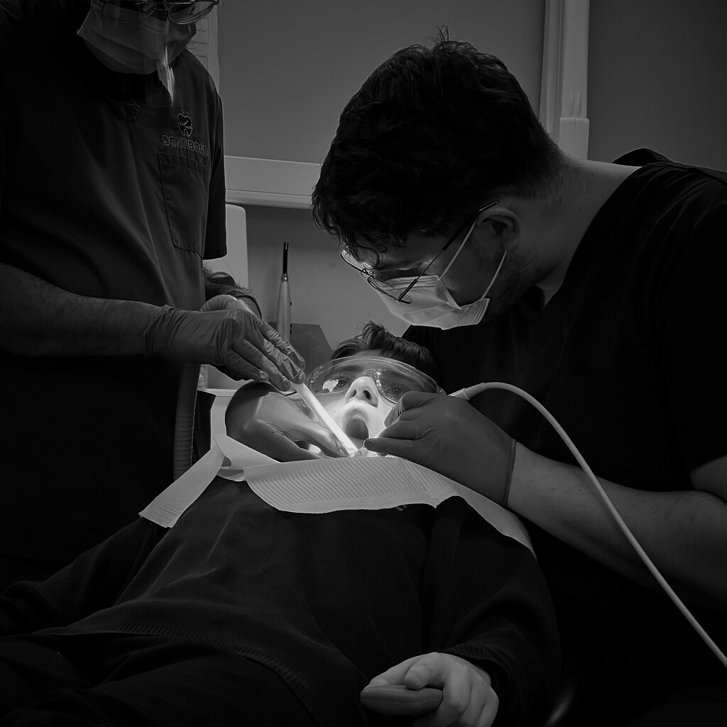 Dentist Chair by Gail Lambert · 365 Project