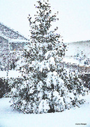 11th Jan 2024 - Snow tree artistic