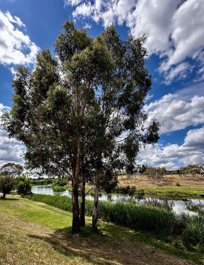 Goulburn Waterworks 1 by deidre