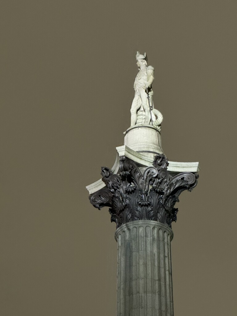 Nelson’s Column  by jeremyccc