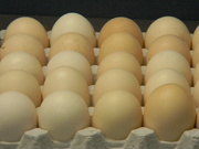 11th Jan 2024 - Carton of Eggs In Office 