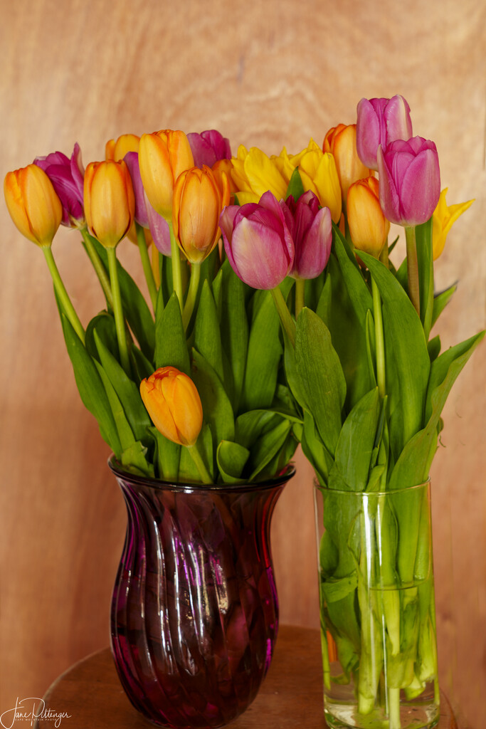 80th Birthday Tulips  by jgpittenger