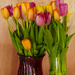 80th Birthday Tulips  by jgpittenger