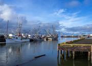 11th Jan 2024 - Steveston Harbour