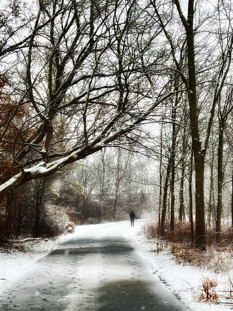 a winter walk by amyk