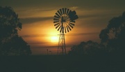 12th Jan 2024 - Windmill Geelong
