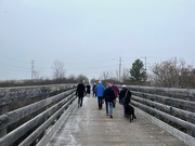 7th Nov 2023 - Old Train Bridge