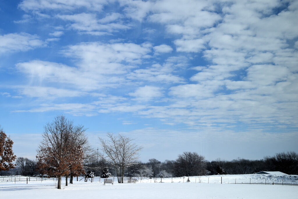 Sunny, Snowy Day by genealogygenie