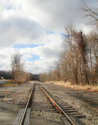 12th Jan 2024 - Railroad tracks
