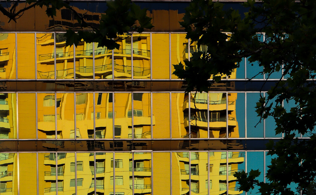 Reflections in yellow by ankers70