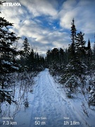 12th Jan 2024 - What a great Snowshoe!