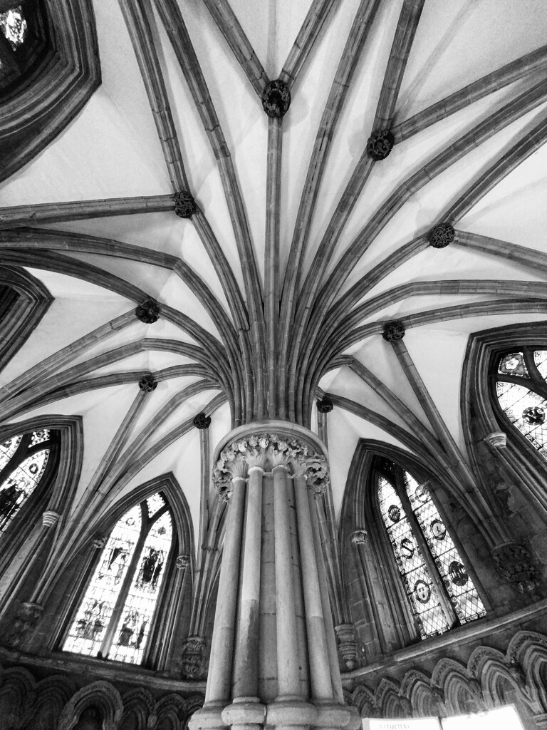 Lichfield Cathedral column by mr_jules