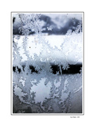 12th Jan 2024 - Frosty Window Pane