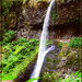 Continuing on the trail-Silver Falls State Park by 365projectorgchristine