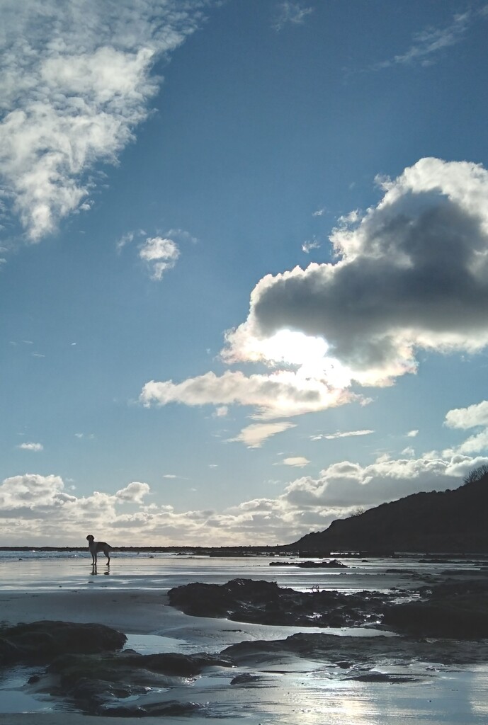 Sea, Sand & Sky by redandwhite