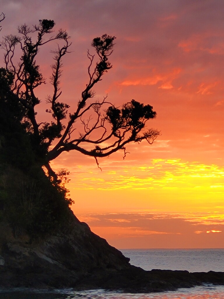 Matapouri Sunrise by julzmaioro