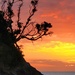 Matapouri Sunrise by julzmaioro