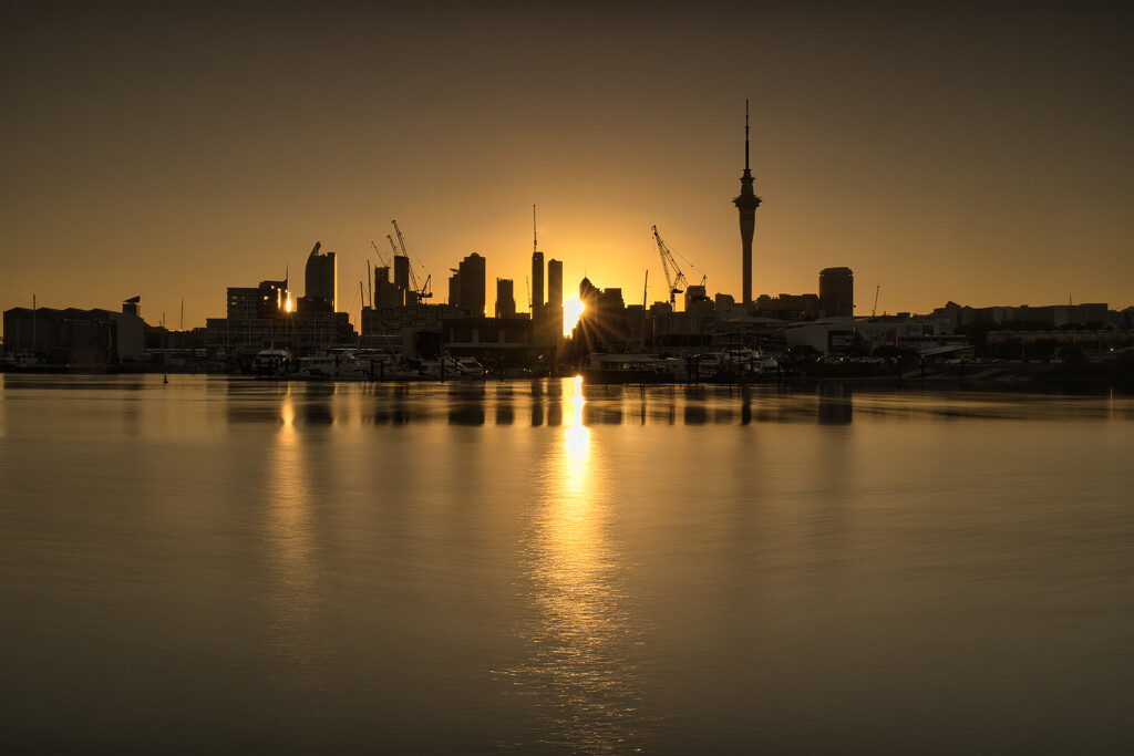 Sunrise Behind Auckland City by dkbarnett
