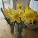 Daffodils by helenawall