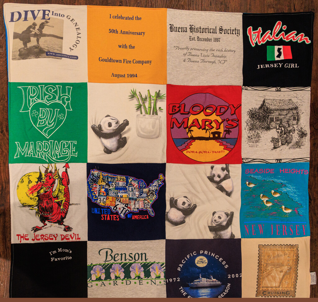 What to do with Old TeeShirts?  Make a Lap Quilt by hjbenson