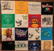 12th Jan 2024 - What to do with Old TeeShirts?  Make a Lap Quilt