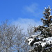 A Sunny Snowy Day by lisab514