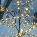 Twinkling lights by nealbork