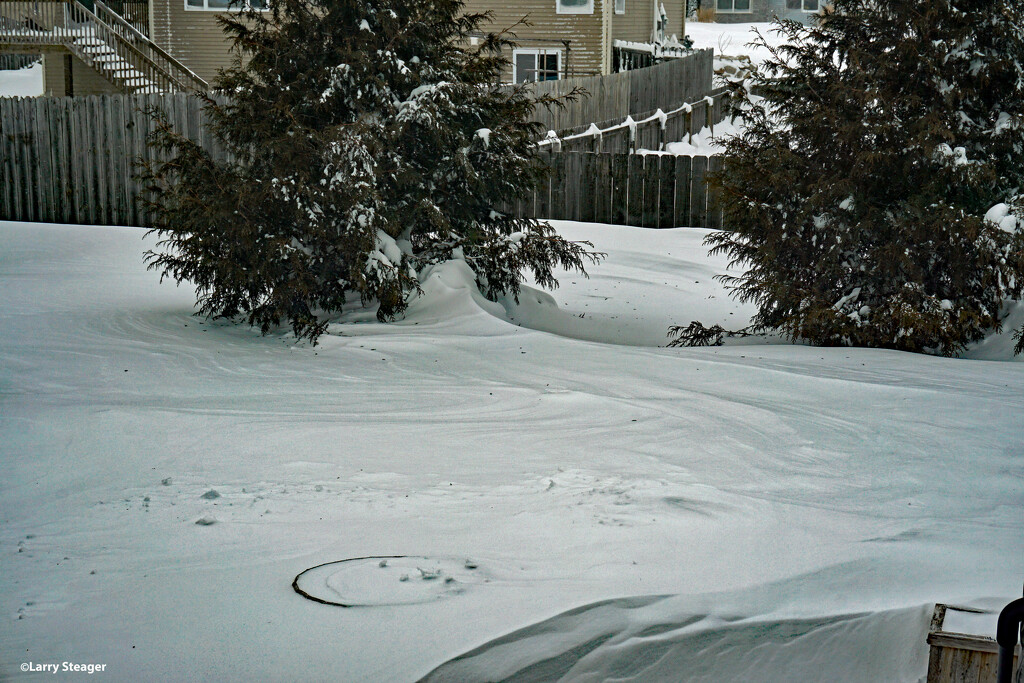 Snow drifts between the trees by larrysphotos