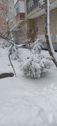 12th Jan 2024 - Сильный снег