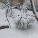 Сильный снег by cisaar