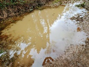 13th Jan 2024 - MUDDY REFLECTIONS.