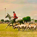 Polo for Heart by robfalbo