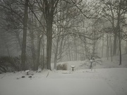 14th Jan 2024 - Morning Snow Squall